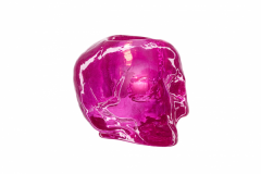 still-life-skull-pink-7061401