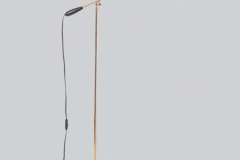 northernlighting-Birdy_floor_black_brass