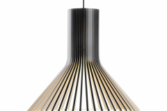 secto-puncto-4203_color_black