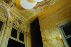 nemo-morfus-ambient-4